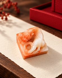 Apricot Curl Seal | Low-Profile Sculptural Design