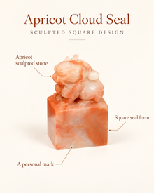 Apricot Cloud Seal | Sculpted Square Design